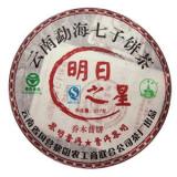 【明日之星乔木普饼】2006年 
